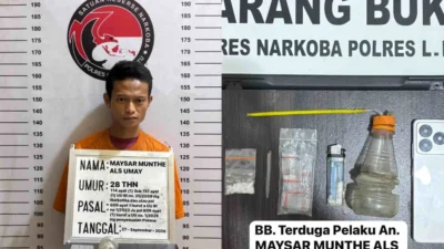 Satresnarkoba Polres Labuhanbatu Tangkap Pria di Marbau, Sabu 1,88 Gram Disita