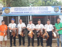 Lapas Rantauprapat Panen 50 Ayam Kampung, Dorong Warga Binaan Mandiri dan Dukung Ketahanan Pangan