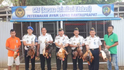 Lapas Rantauprapat Panen 50 Ayam Kampung, Dorong Warga Binaan Mandiri dan Dukung Ketahanan Pangan