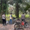 Tindaklanjuti Dumas Dugaan Peredaran Sabu, Polsek Kampung Rakyat Gerebek Lokasi di Tanjung Medan