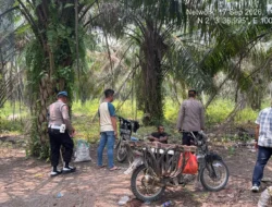 Tindaklanjuti Dumas Dugaan Peredaran Sabu, Polsek Kampung Rakyat Gerebek Lokasi di Tanjung Medan