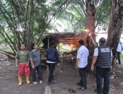 Respons Laporan Viral, Polres Sergai Musnahkan Dua Gubuk Diduga Jadi Sarang Narkoba di Silindak