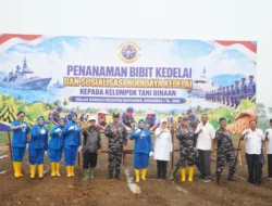 Kodaeral I Tanam Kedelai di Tanjung Morawa, Perkuat Ketahanan Pangan Berbasis Masyarakat