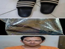 Satreskrim Polres Binjai Amankan Terduga Pelaku Curat di Langkat