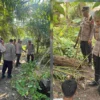 Kapolres Sergai Turun Langsung dalam Gerebek Sarang Narkoba di Pantai Cermin Kiri, Satu Pria Diamankan