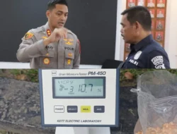 Polres Binjai Salurkan 4 Ton Jagung ke Bulog, Total Serapan Capai 314,2 Ton