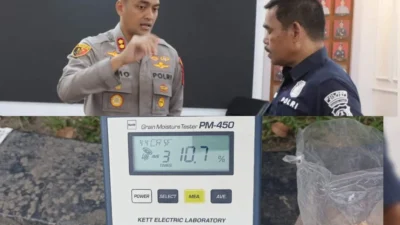 Polres Binjai Salurkan 4 Ton Jagung ke Bulog, Total Serapan Capai 314,2 Ton