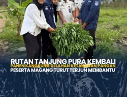 Rutan Tanjung Pura Kembali Panen Kangkung, Peserta Magang Turut Terlibat dalam Program Ketahanan Pangan